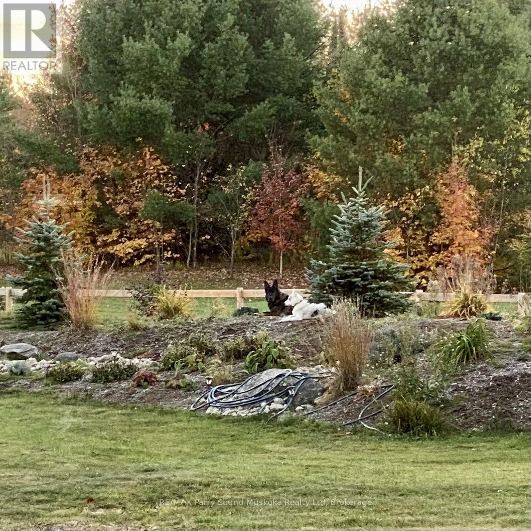 54 Lake Ridge Road, Seguin, Ontario  P0C 1J0 - Photo 46 - X12851026