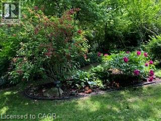 286 Union Street, Simcoe, Ontario  N3Y 2B8 - Photo 41 - 40809858