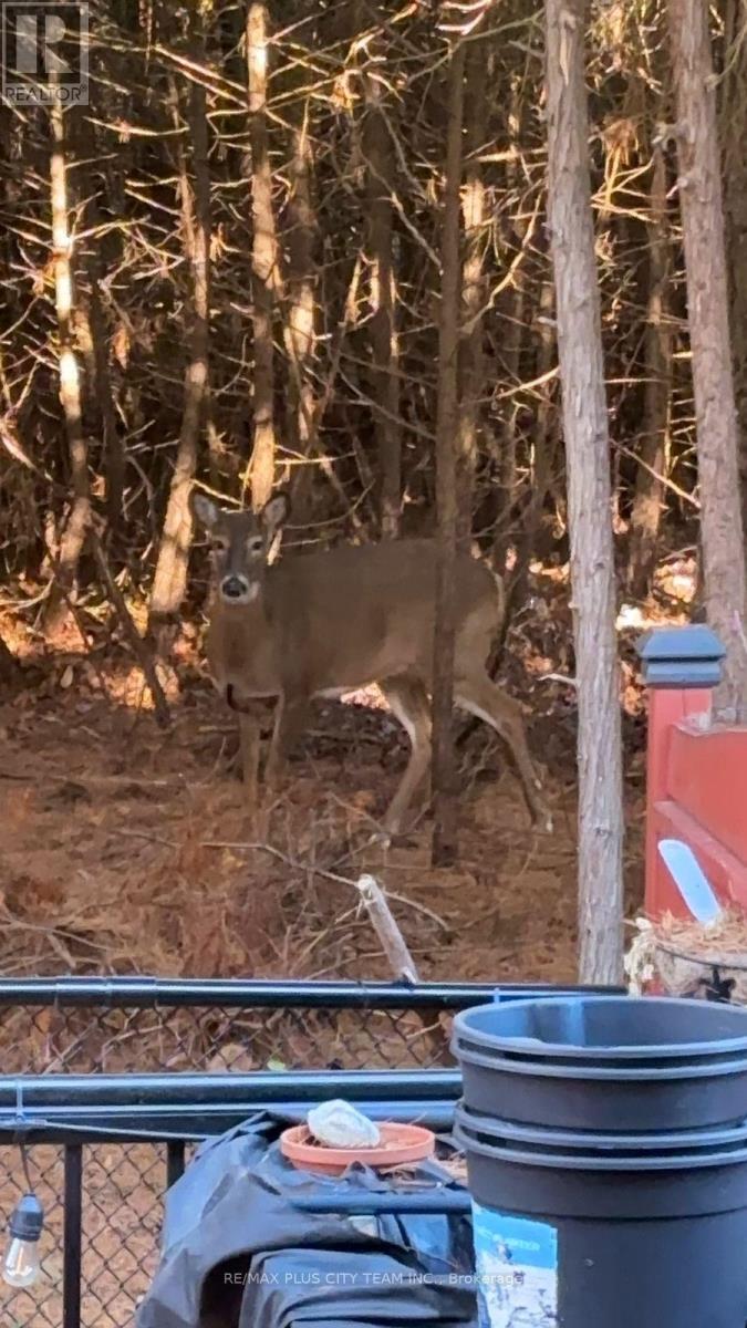 16 Edison Way, Whitby, Ontario  L1R 0M3 - Photo 45 - E12850824