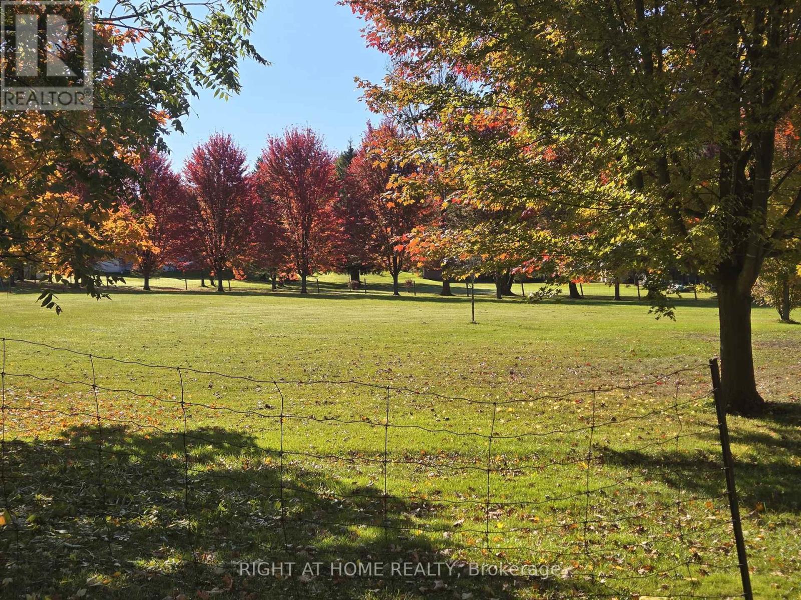 709 Regional Rd 13 Road, Uxbridge, Ontario  L0C 1C0 - Photo 6 - N12851160