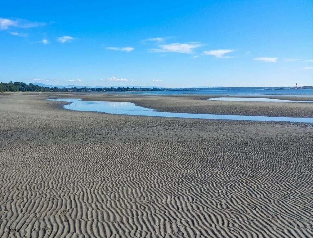 409 15621 Marine Drive, White Rock, British Columbia  V4B 1E1 - Photo 28 - R3096316