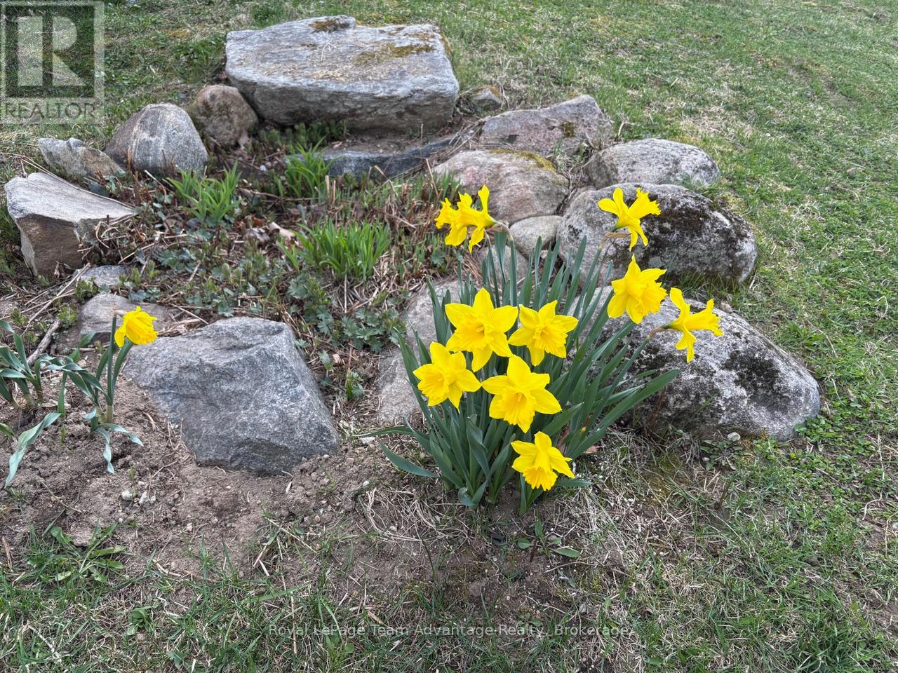 1155 Lake Joseph Road, Seguin, Ontario  P2A 2W8 - Photo 31 - X12851490