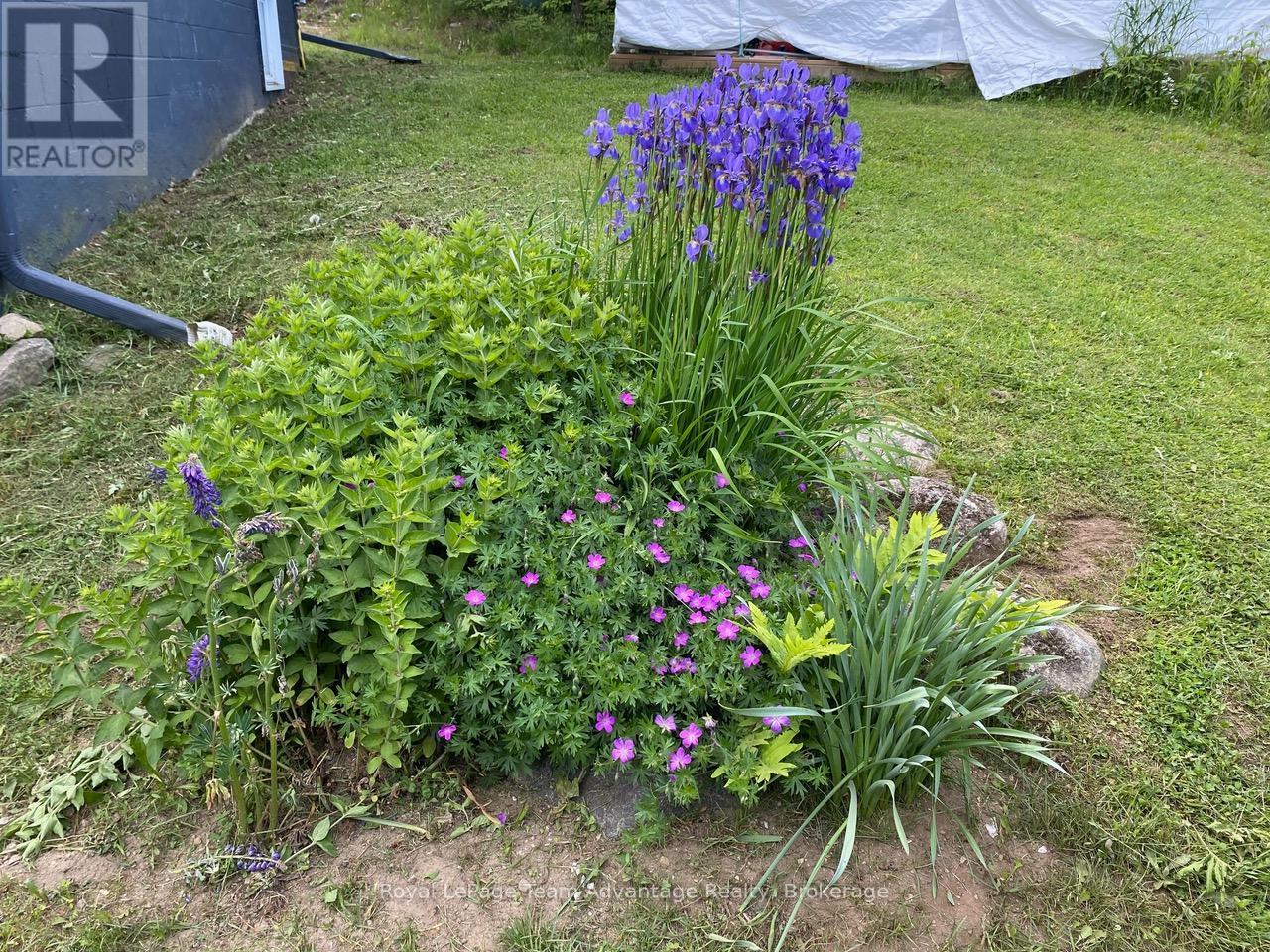 1155 Lake Joseph Road, Seguin, Ontario  P2A 2W8 - Photo 33 - X12851490