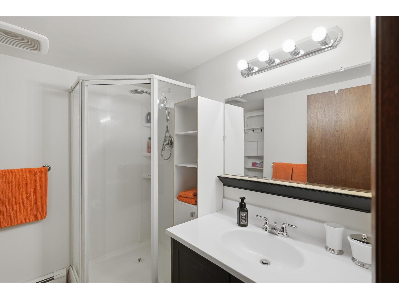 3177 207a Street, Langley, British Columbia  V3A 4P5 - Photo 26 - R3095012