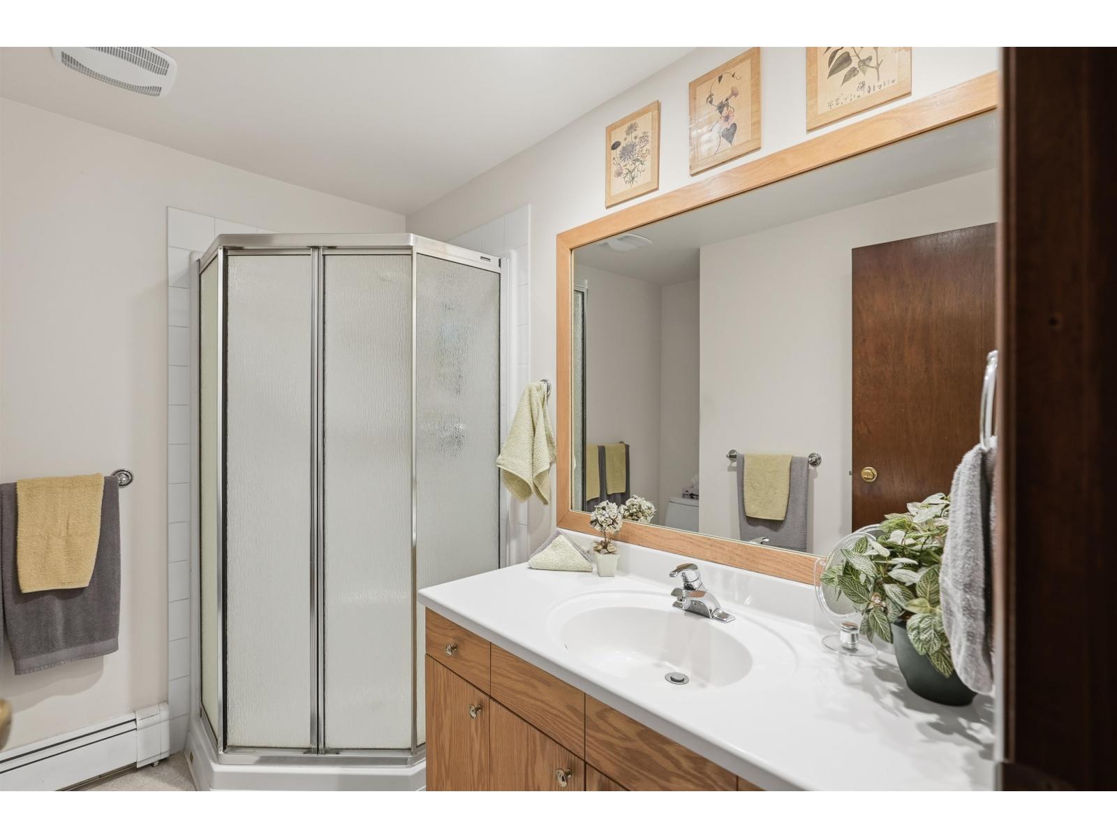 3177 207a Street, Langley, British Columbia  V3A 4P5 - Photo 8 - R3095012