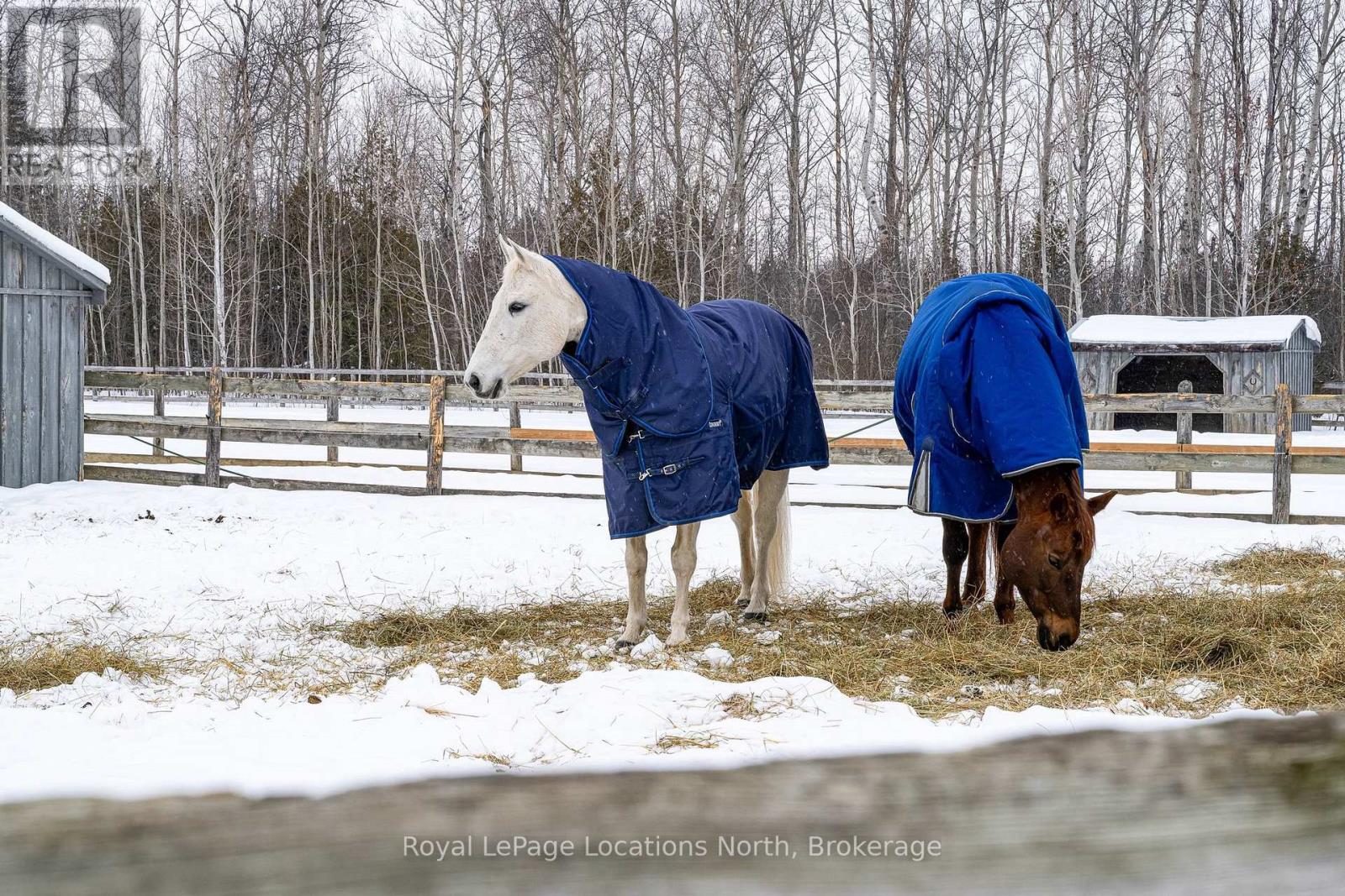 2623 Con 10 N Nottawasaga Road N, Clearview, Ontario  L9Y 3Y9 - Photo 3 - S12851688