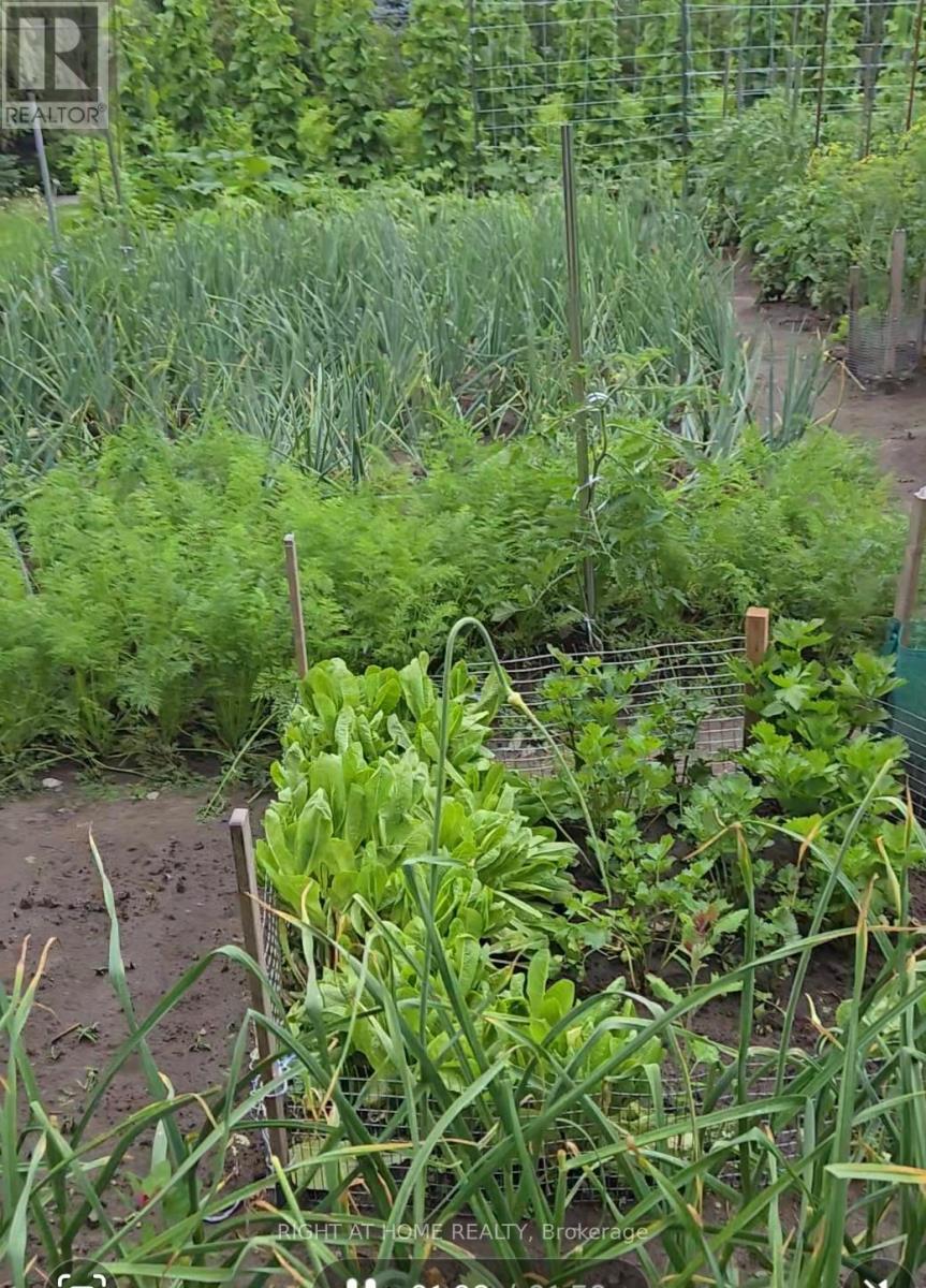 709 Regional Rd 13 Road, Uxbridge, Ontario  L0C 1C0 - Photo 27 - N12851160