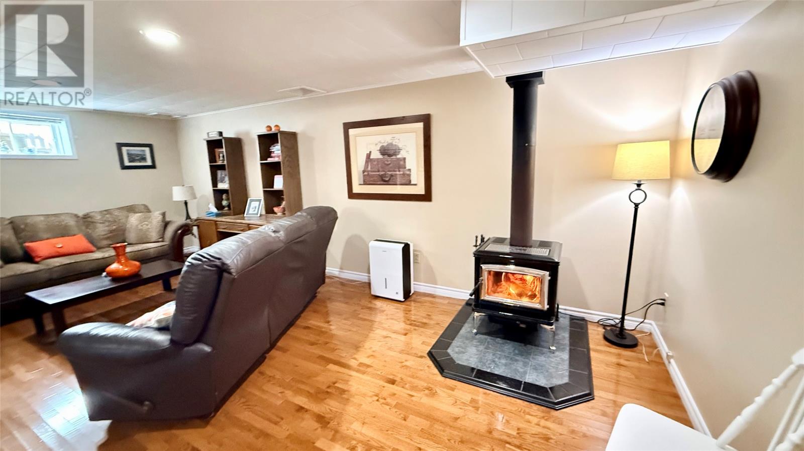 386a Main Street, Springdale, Newfoundland & Labrador   - Photo 37 - 1294660