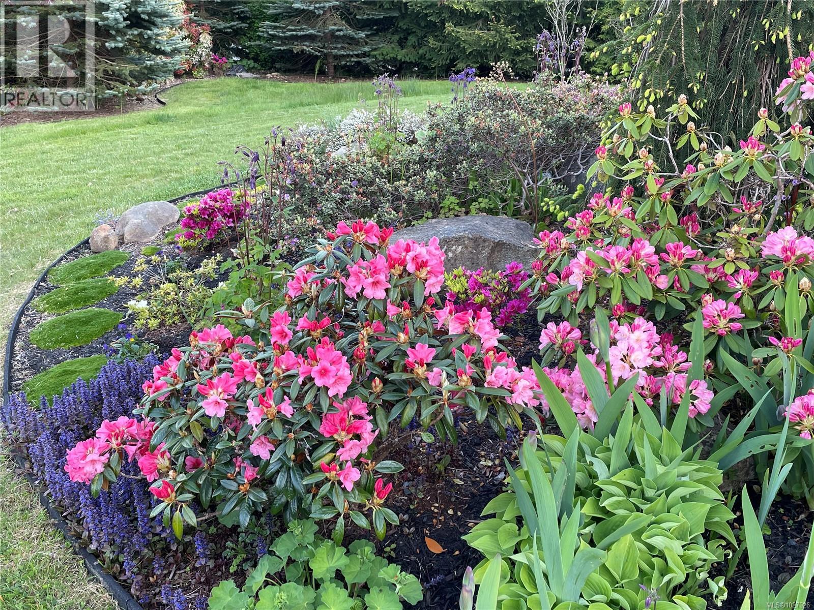 5909 Garvin Rd, Union Bay, British Columbia  V0R 1B0 - Photo 85 - 1027926