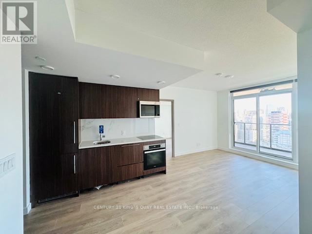 3002 - 38 Widmer Street, Toronto (Waterfront Communities), Ontario  M5V 2E9 - Photo 13 - C12851998