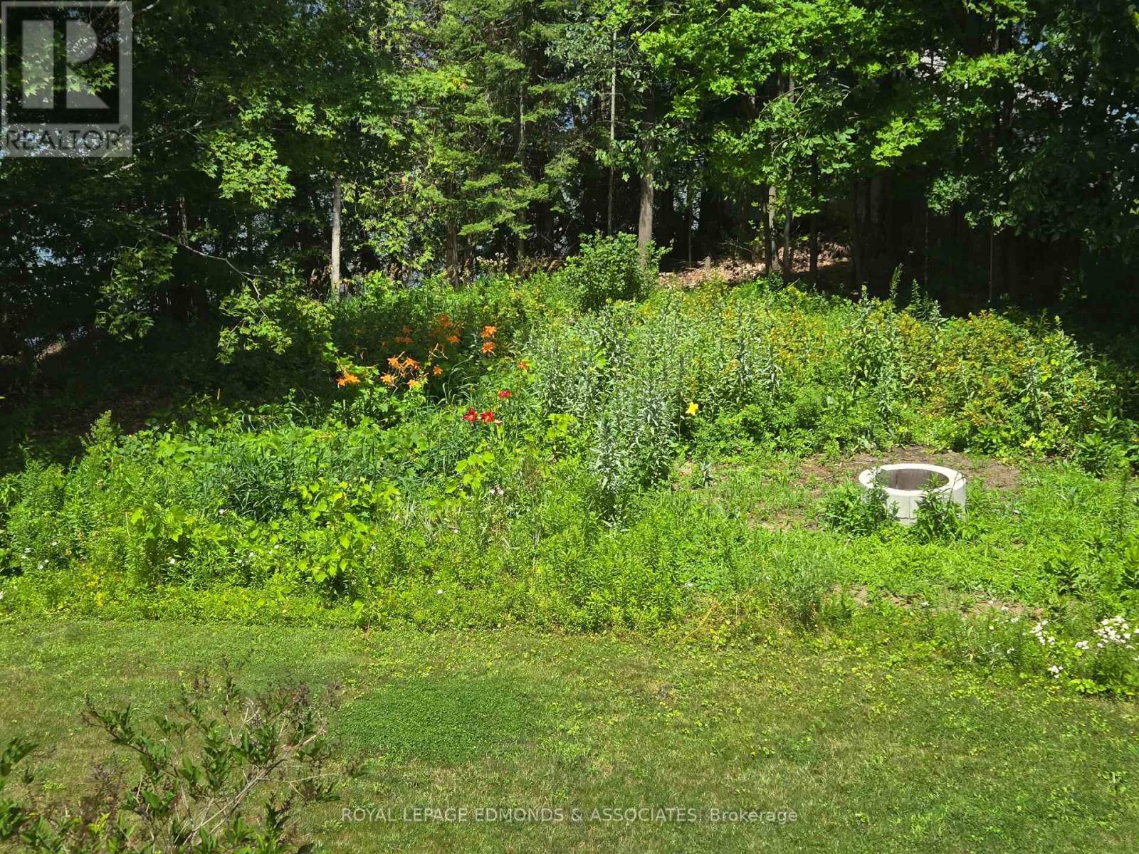 47a Trillium Lane, North Algona Wilberforce, Ontario  K0J 1T0 - Photo 48 - X12820024