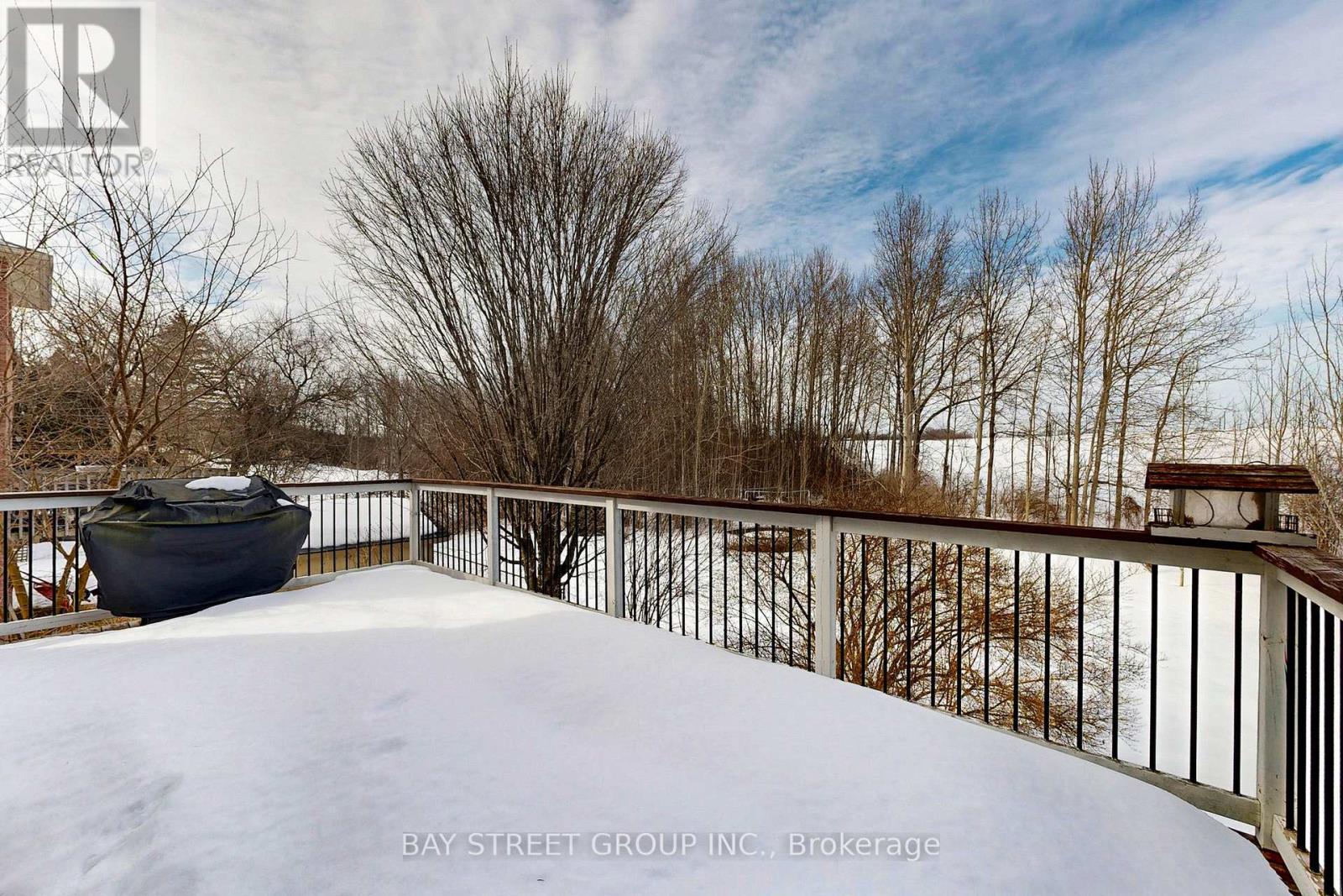 535 Malvern Crescent, Newmarket, Ontario  L3Y 7L7 - Photo 42 - N12851996