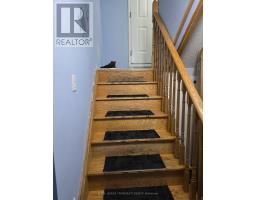 BSMT - 7 MULOCK AVENUE, Toronto, Ontario