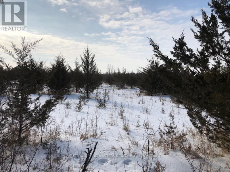 Lot 2 Galbraith Grove Road, Stone Mills (Stone Mills), Ontario  K0K 3N0 - Photo 4 - X12735144