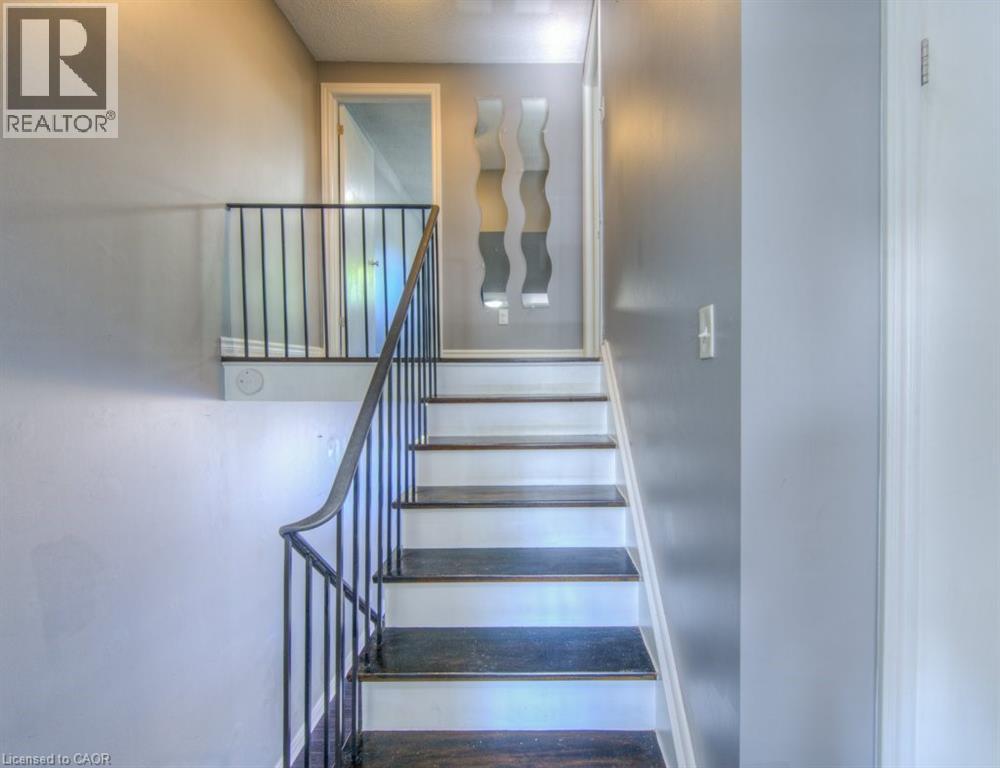 46 Guerin Avenue, Kitchener, Ontario  N2A 1S8 - Photo 25 - 40795031