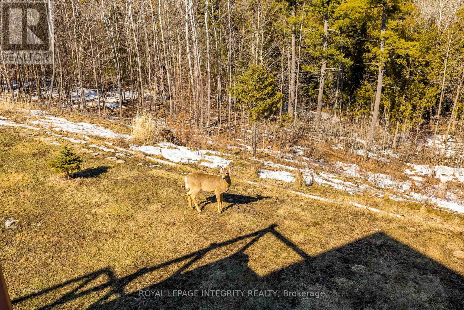 3052 Stoneridge Road, Ottawa, Ontario  K0A 1T0 - Photo 38 - X12852156