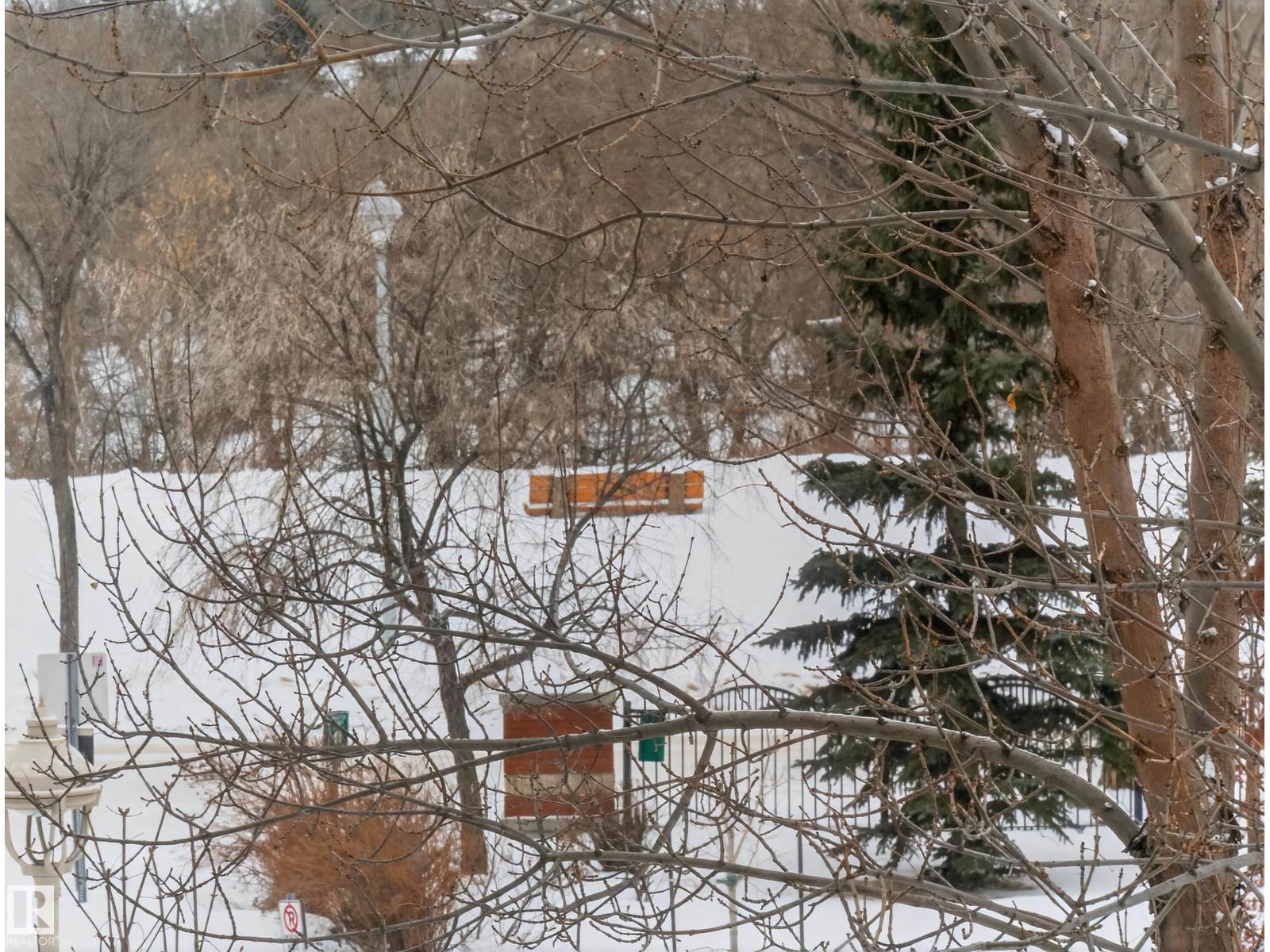 #302 9008 99 Av Nw, Edmonton, Alberta  T5H 4M6 - Photo 43 - E4476149