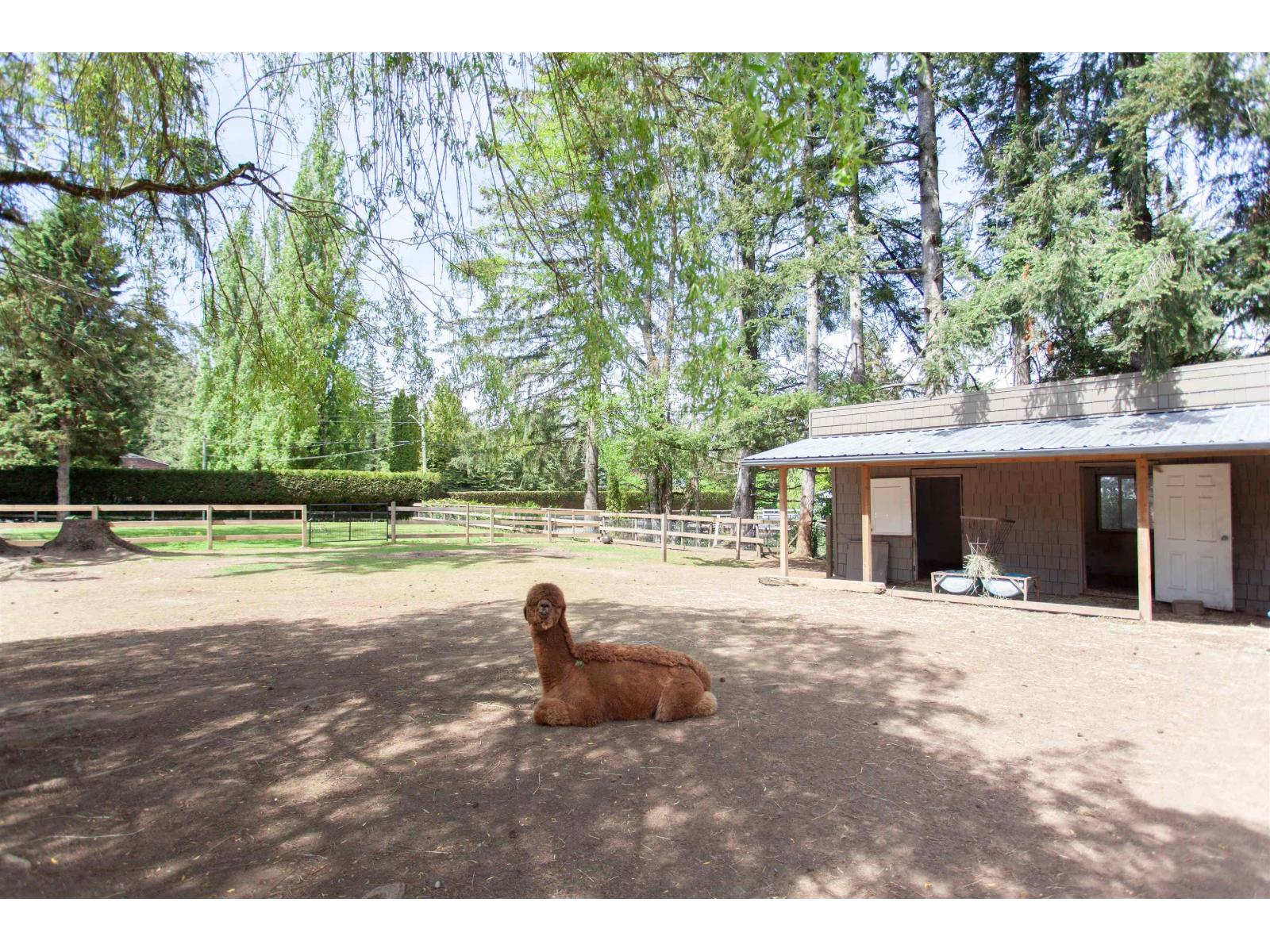 20058 Fernridge Crescent, Langley, British Columbia  V2Z 1X5 - Photo 37 - R3096741