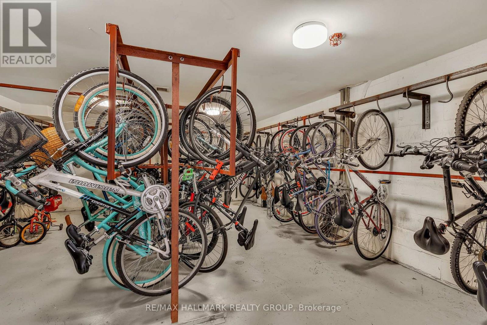 315 - 1100 Ambleside Drive, Ottawa, Ontario  K2B 8G6 - Photo 32 - X12852220