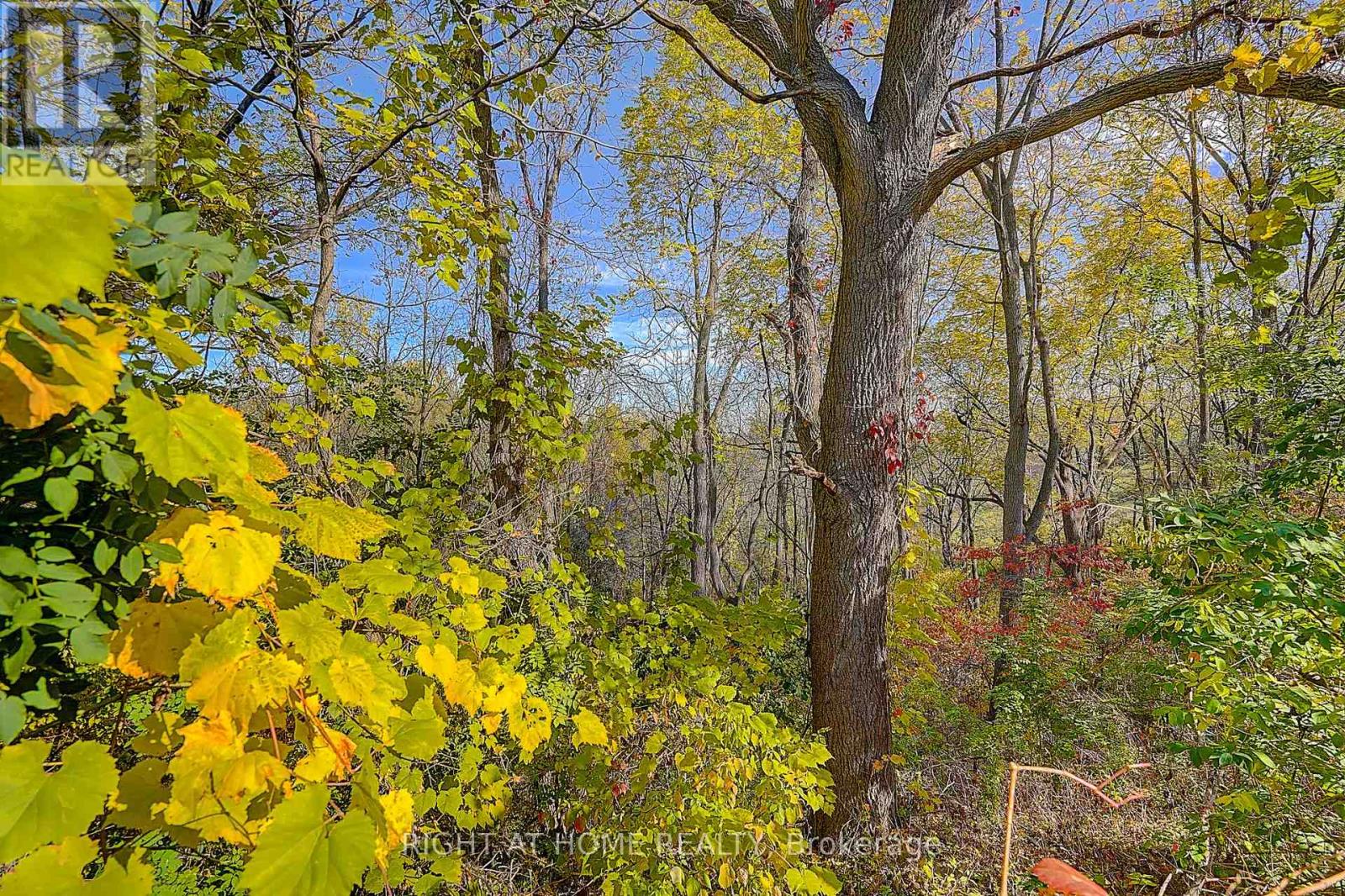 32 Macauley Drive, Markham (Aileen-Willowbrook), Ontario  L3T 5S4 - Photo 40 - N12832048