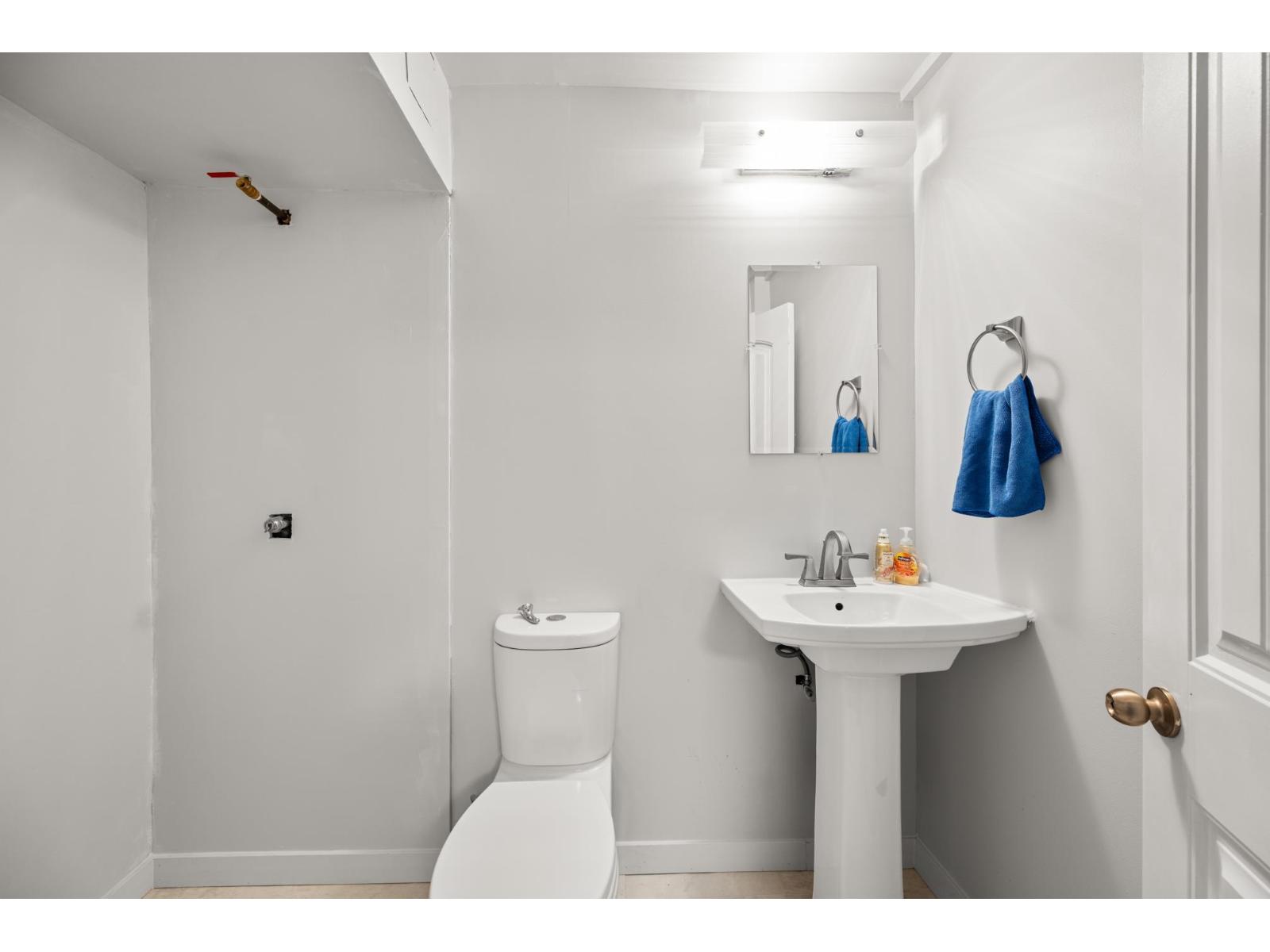 2862 Mcbride Street, Abbotsford, British Columbia  V3G 1G9 - Photo 31 - R3096032