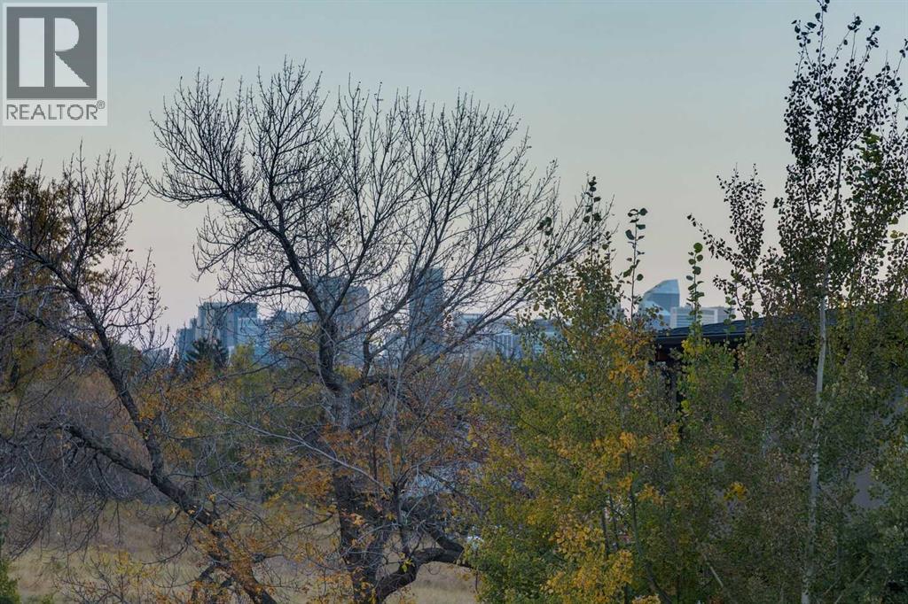 933 32 Street Nw, Calgary, Alberta  T2N 2W3 - Photo 46 - A2279699