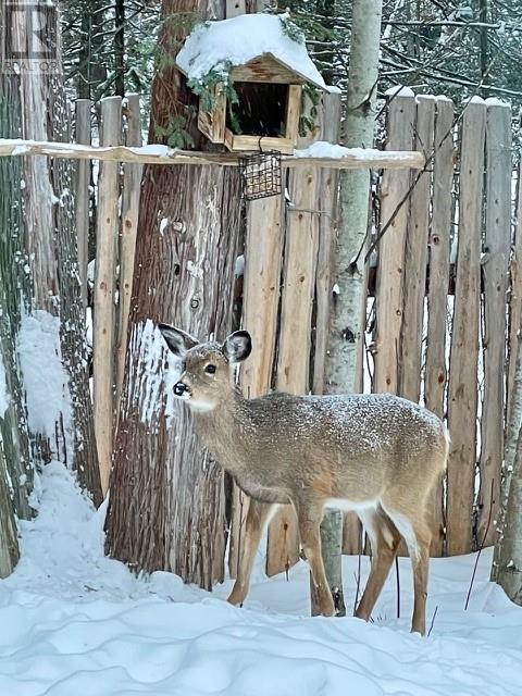 92 Lilly Crescent, Kagawong, Ontario  P0P 1J0 - Photo 30 - 2126702