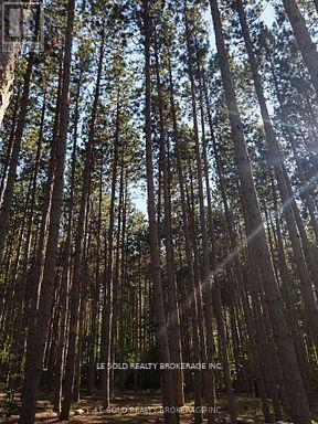 97 Tranquility Bay Drive, Bonnechere Valley, Ontario  K0J 2A0 - Photo 5 - X12852738