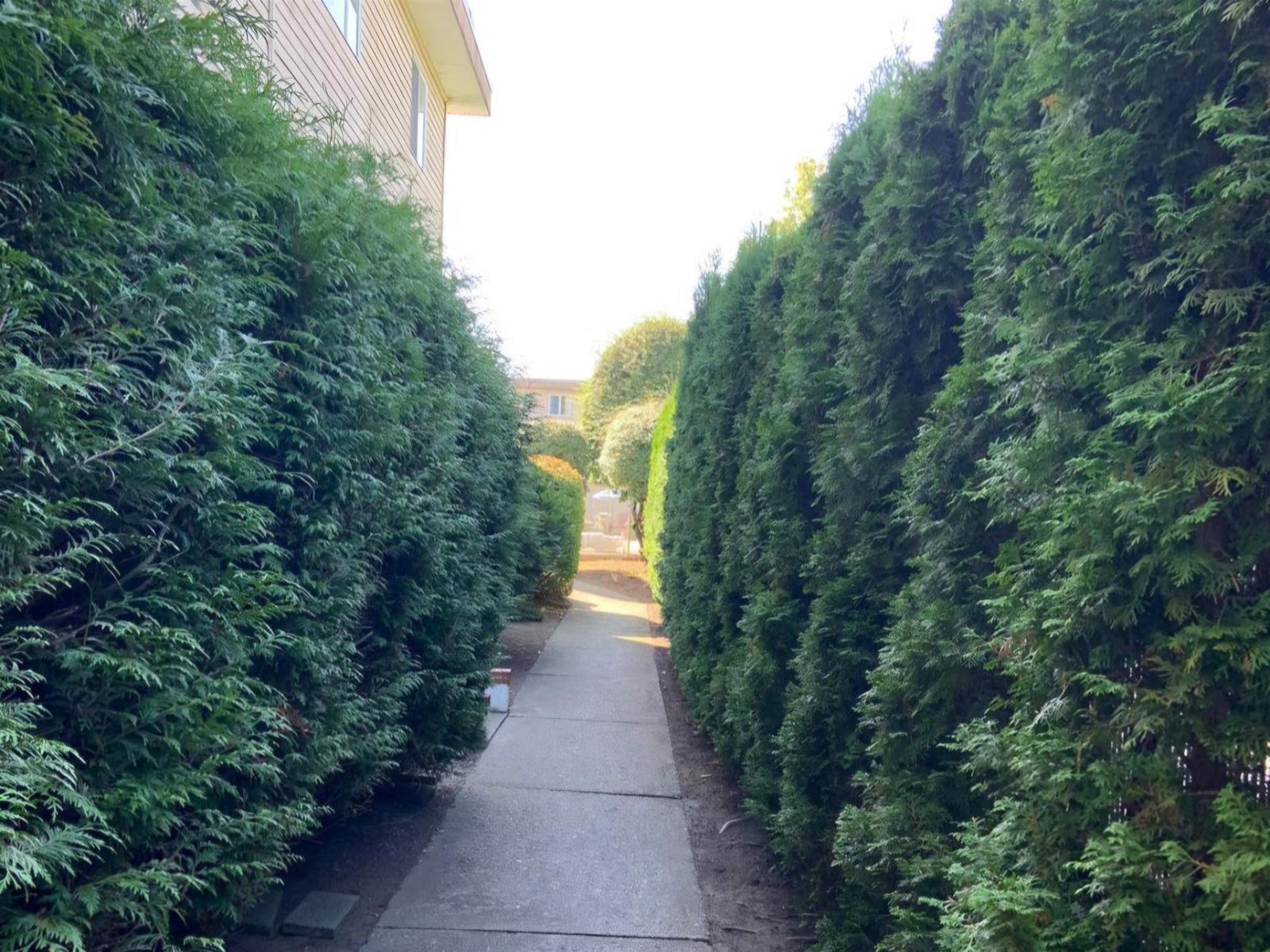 325 11806 88 Avenue, Delta, British Columbia  V4C 3C5 - Photo 27 - R3094103