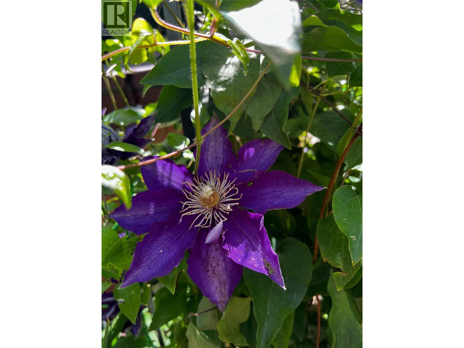 179 Springbend Road, Enderby, British Columbia  V0E 1V3 - Photo 45 - 10376993