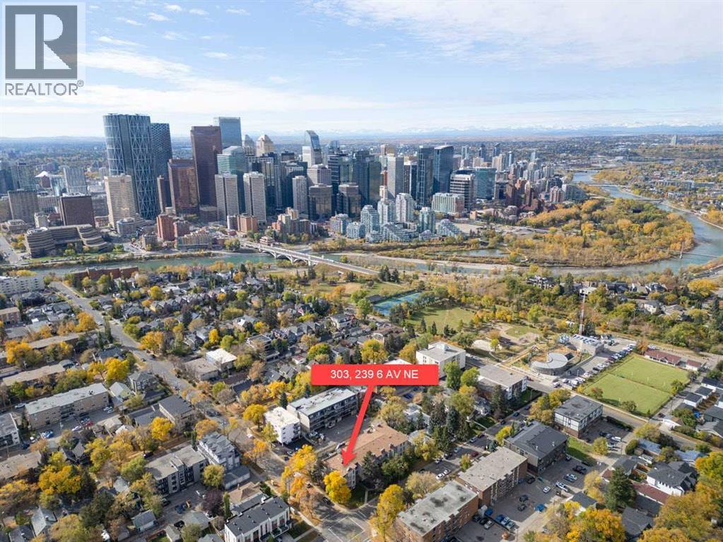 303, 239 6 Avenue NE, Calgary, Alberta