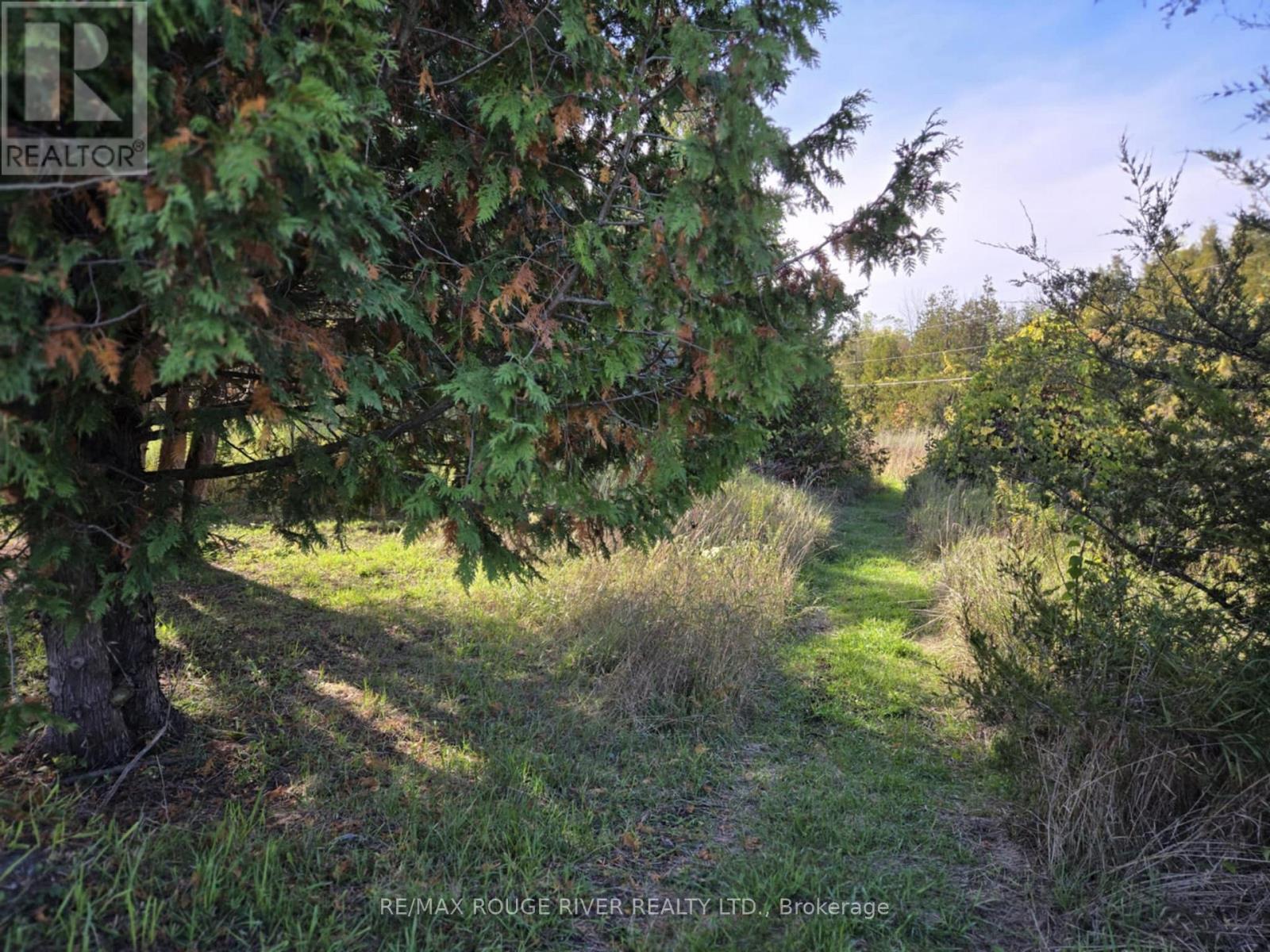 1176 Ixl Road, Trent Hills, Ontario  K0L 1L0 - Photo 44 - X12852820