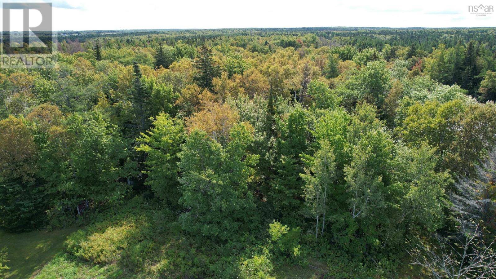 1b Seaside Drive, Gardiner Mines, Nova Scotia  B1H 5K2 - Photo 4 - 202529611