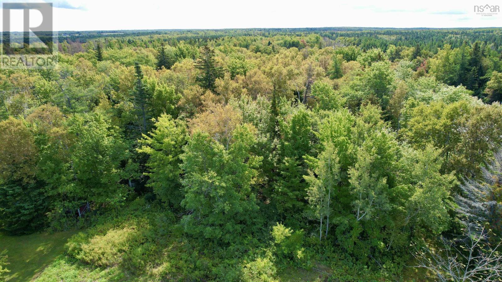 1b Seaside Drive, Gardiner Mines, Nova Scotia  B1H 5K2 - Photo 3 - 202529611