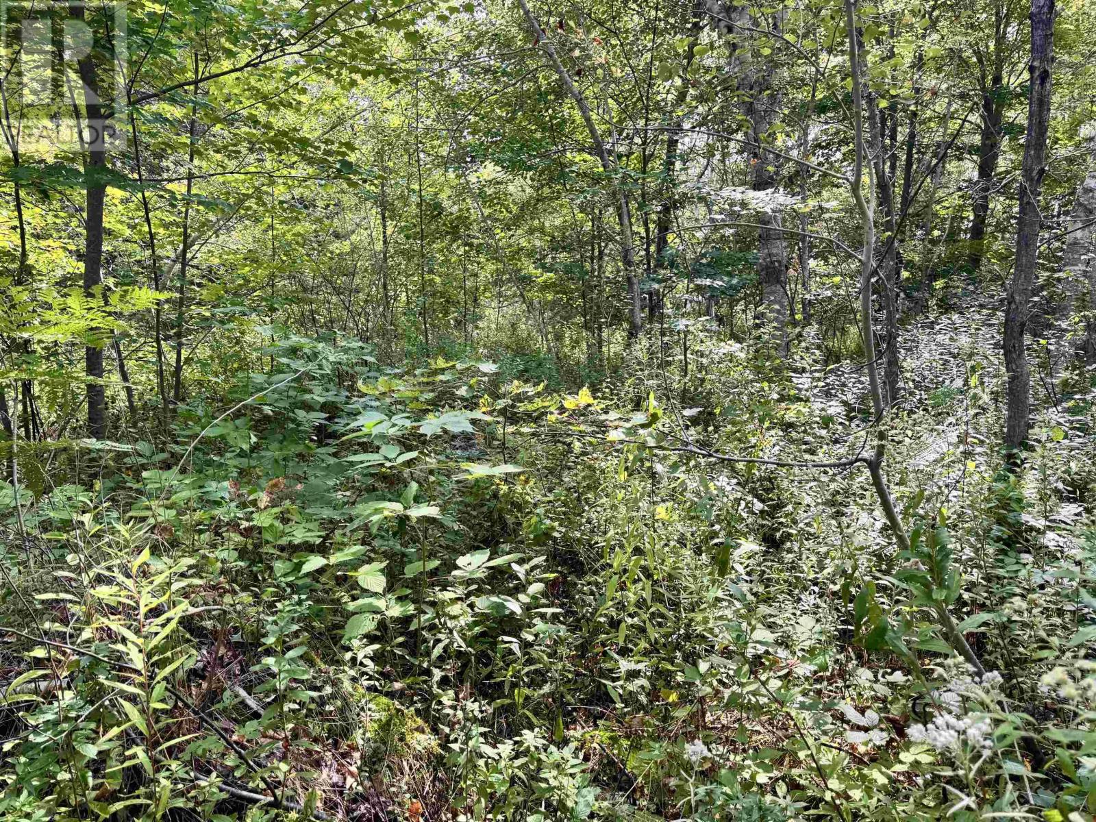 1b Seaside Drive, Gardiner Mines, Nova Scotia  B1H 5K2 - Photo 6 - 202529611