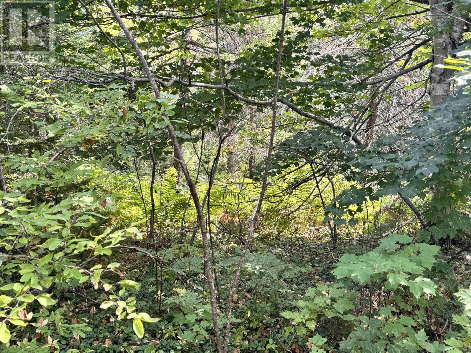 1b Seaside Drive, Gardiner Mines, Nova Scotia  B1H 5K2 - Photo 7 - 202529611