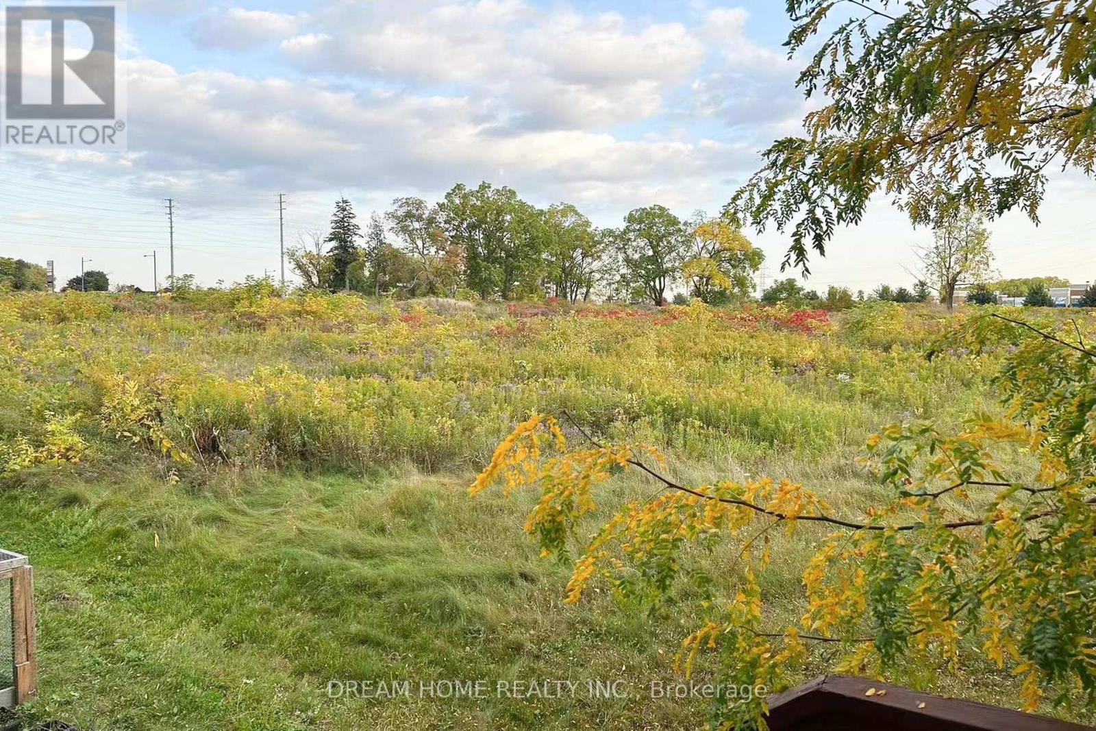 208 Tom Taylor Crescent, Newmarket, Ontario  L3X 3E8 - Photo 33 - N12852798