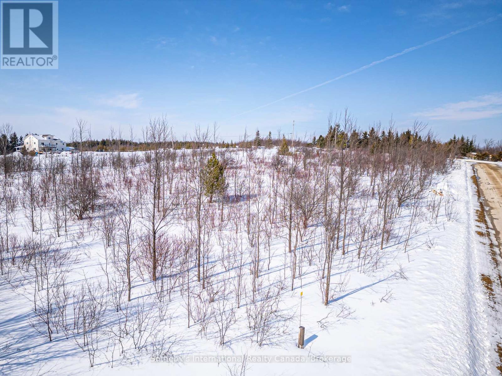 110 Dinsmore Street, Meaford, Ontario  N0H 2P0 - Photo 12 - X12852882