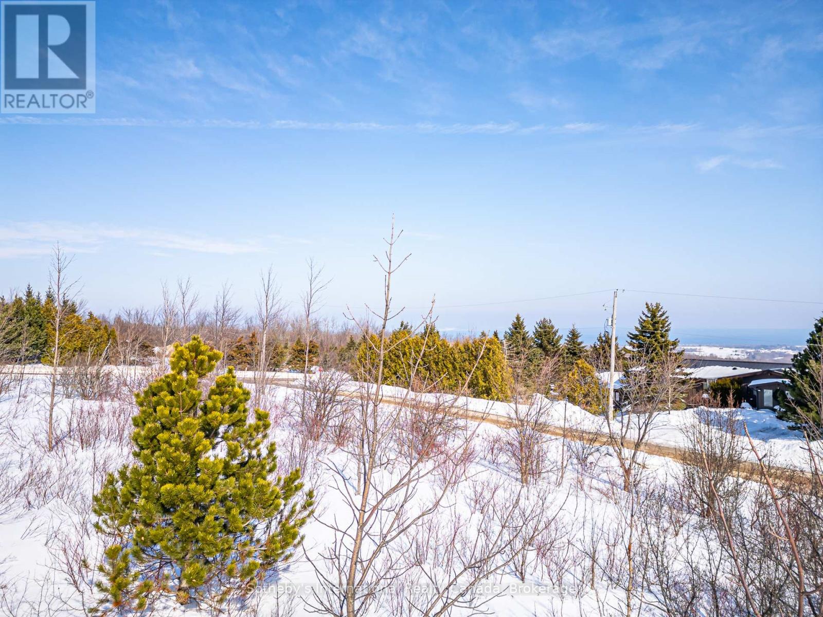 110 Dinsmore Street, Meaford, Ontario  N0H 2P0 - Photo 14 - X12852882