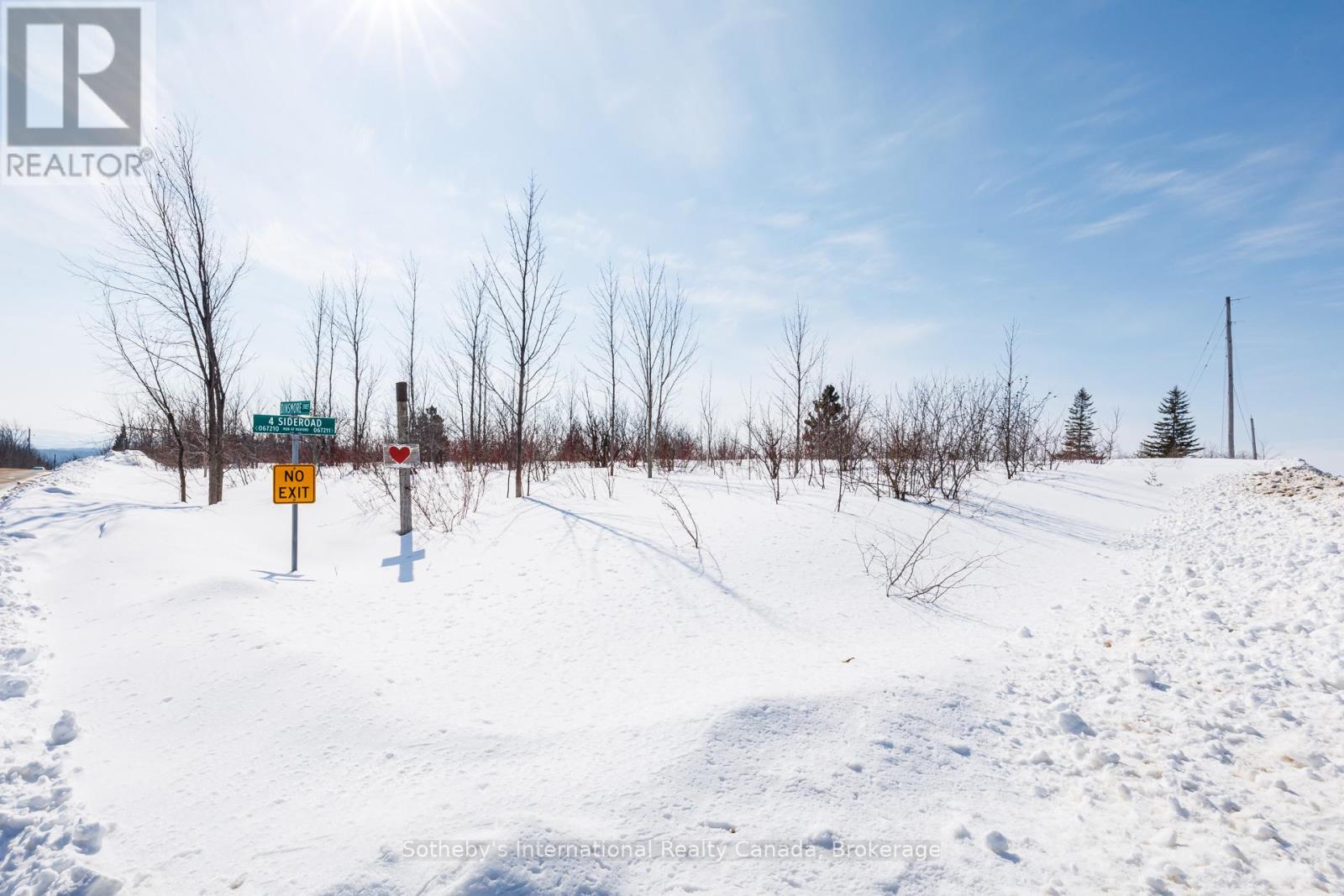 110 Dinsmore Street, Meaford, Ontario  N0H 2P0 - Photo 15 - X12852882