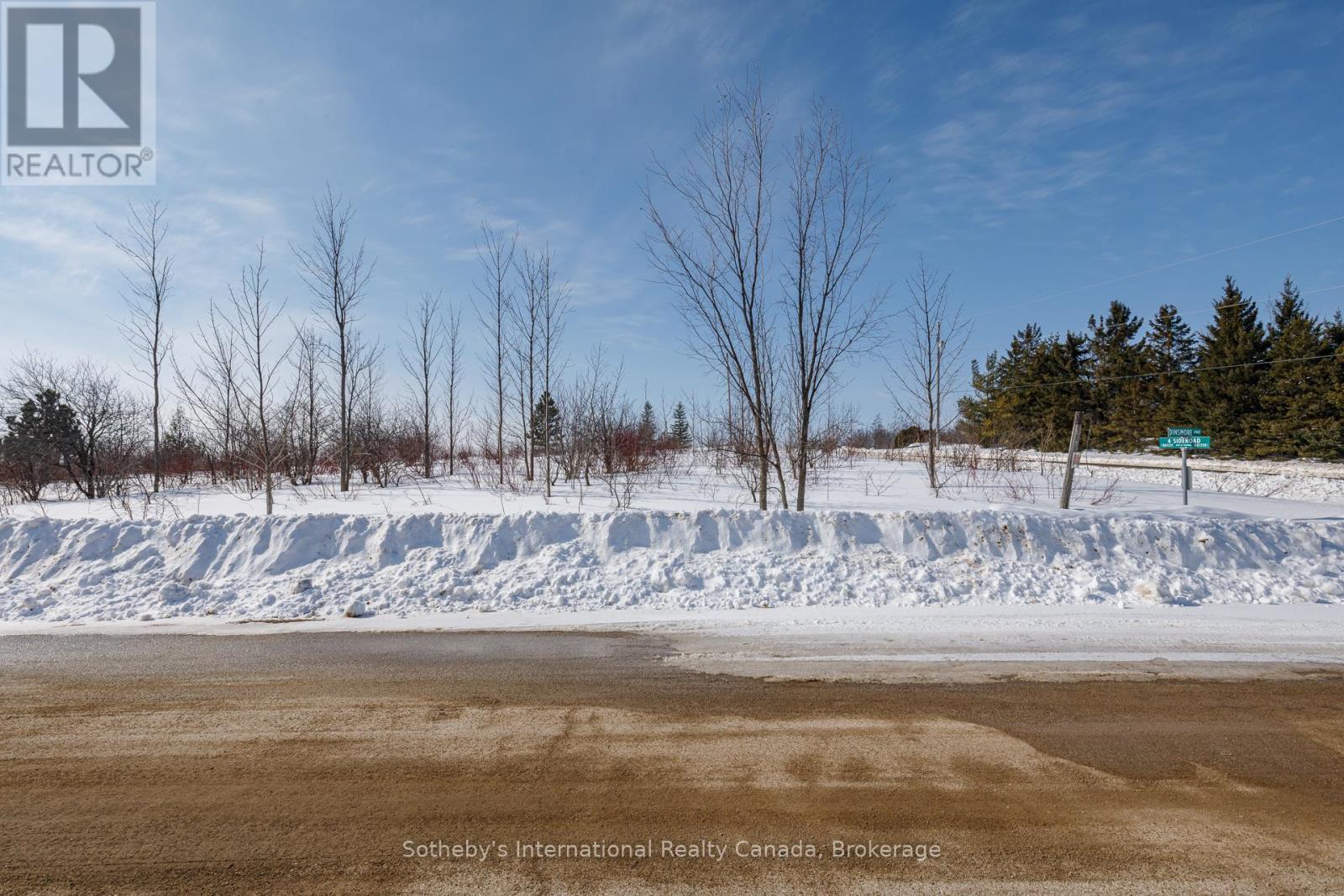110 Dinsmore Street, Meaford, Ontario  N0H 2P0 - Photo 16 - X12852882