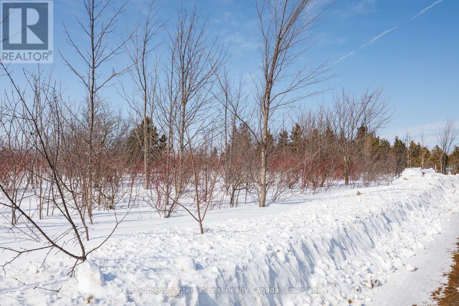 110 Dinsmore Street, Meaford, Ontario  N0H 2P0 - Photo 18 - X12852882