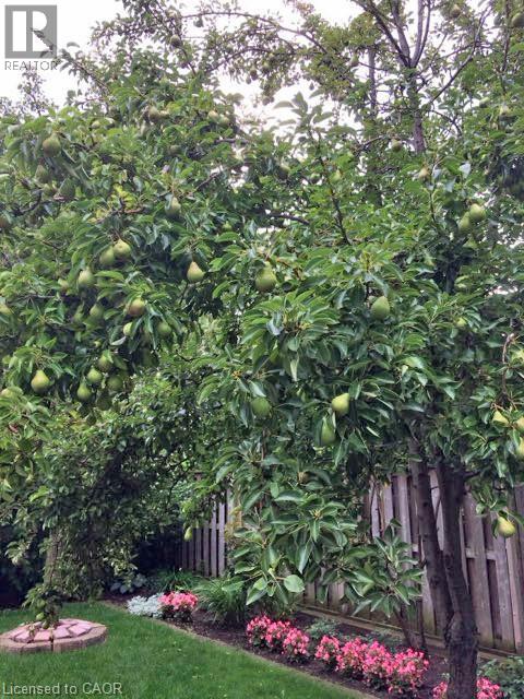 2132 Argon Court, Burlington, Ontario  L7R 4E6 - Photo 48 - 40807449