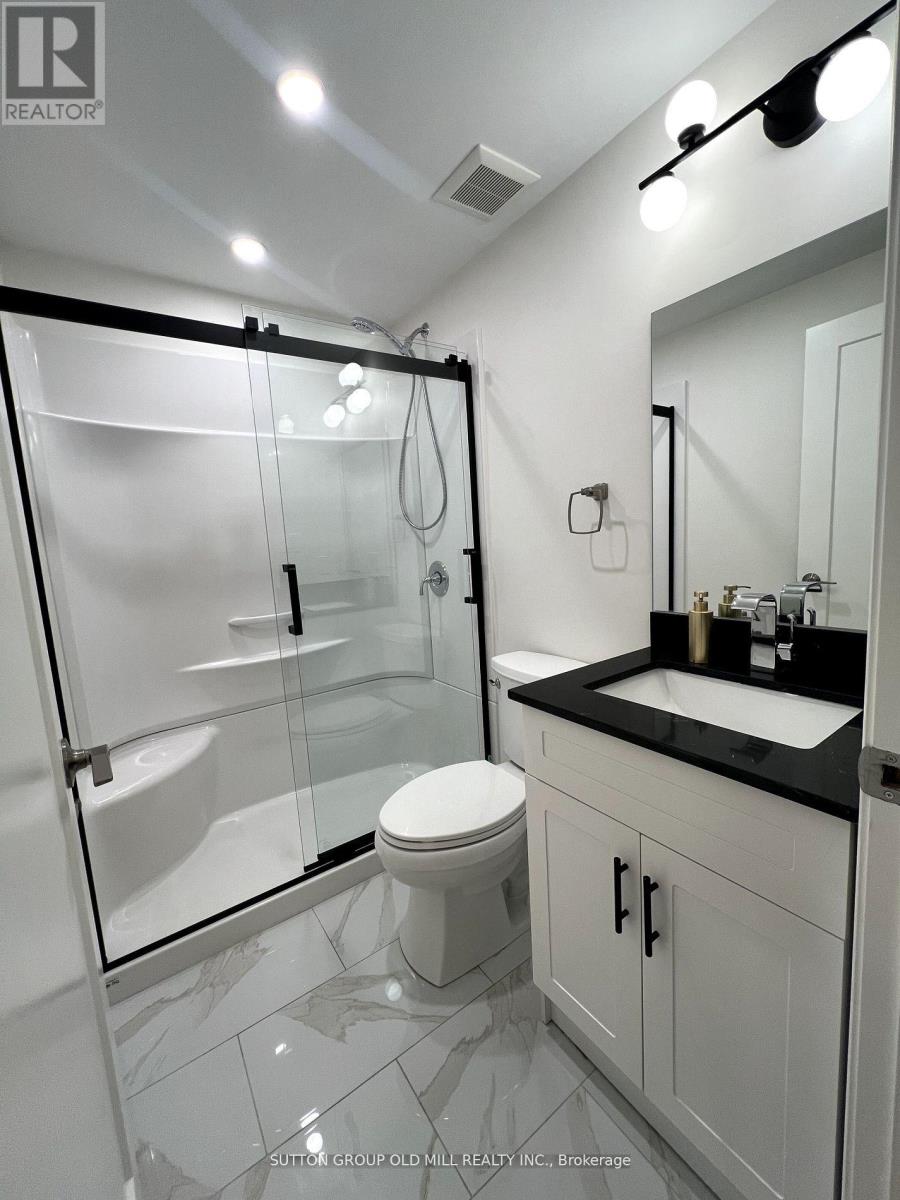 Lower - 27 Pear Tree Mews, Toronto (Dovercourt-Wallace Emerson-Junction), Ontario  M6P 4H2 - Photo 11 - W12852958