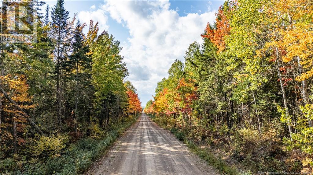 Lot Cormier Village Road, Saint-Paul, New Brunswick  E4T 3H3 - Photo 12 - NB131932