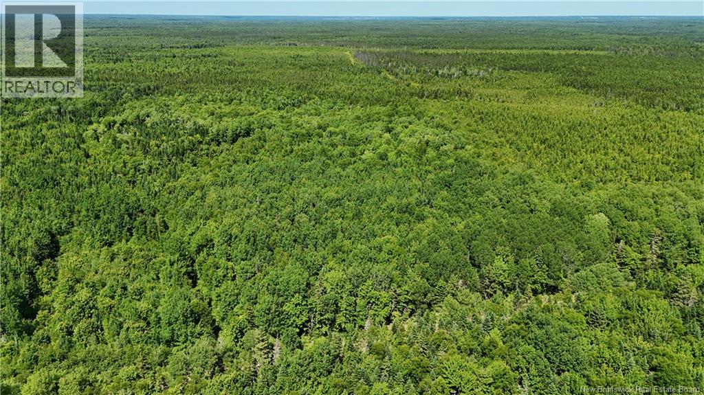 Lot Cormier Village Road, Saint-Paul, New Brunswick  E4T 3H3 - Photo 17 - NB131932