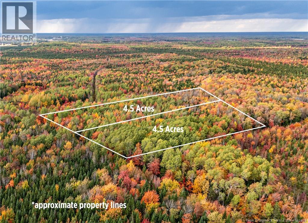 Lot Cormier Village Road, Saint-Paul, New Brunswick  E4T 3H3 - Photo 1 - NB131932