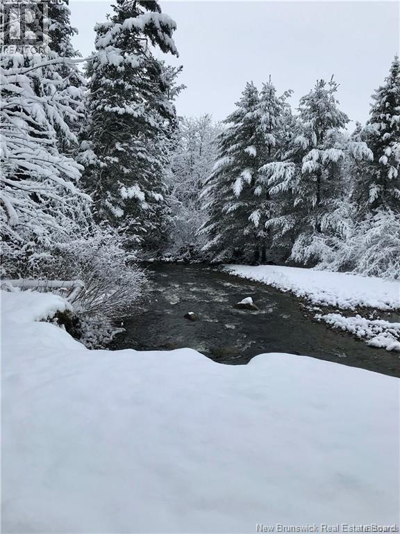 15 Dorn Ridge Road, Burtts Corner, New Brunswick  E6L 2T2 - Photo 31 - NB133379