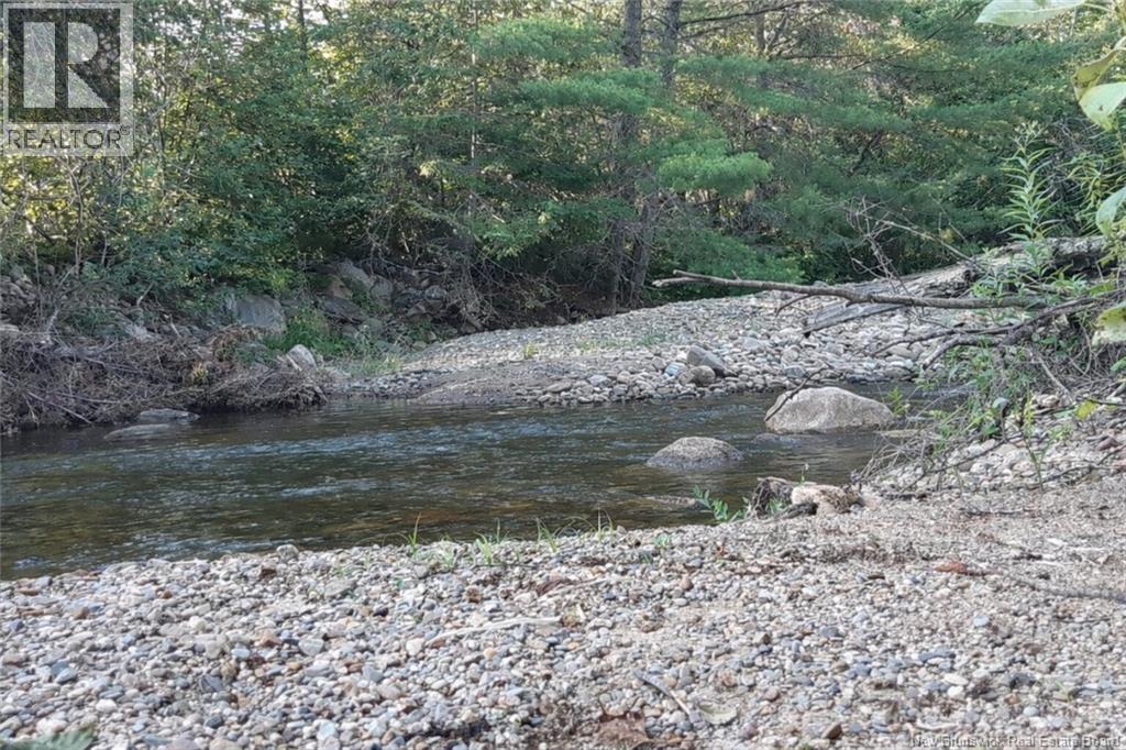 15 Dorn Ridge Road, Burtts Corner, New Brunswick  E6L 2T2 - Photo 28 - NB133379