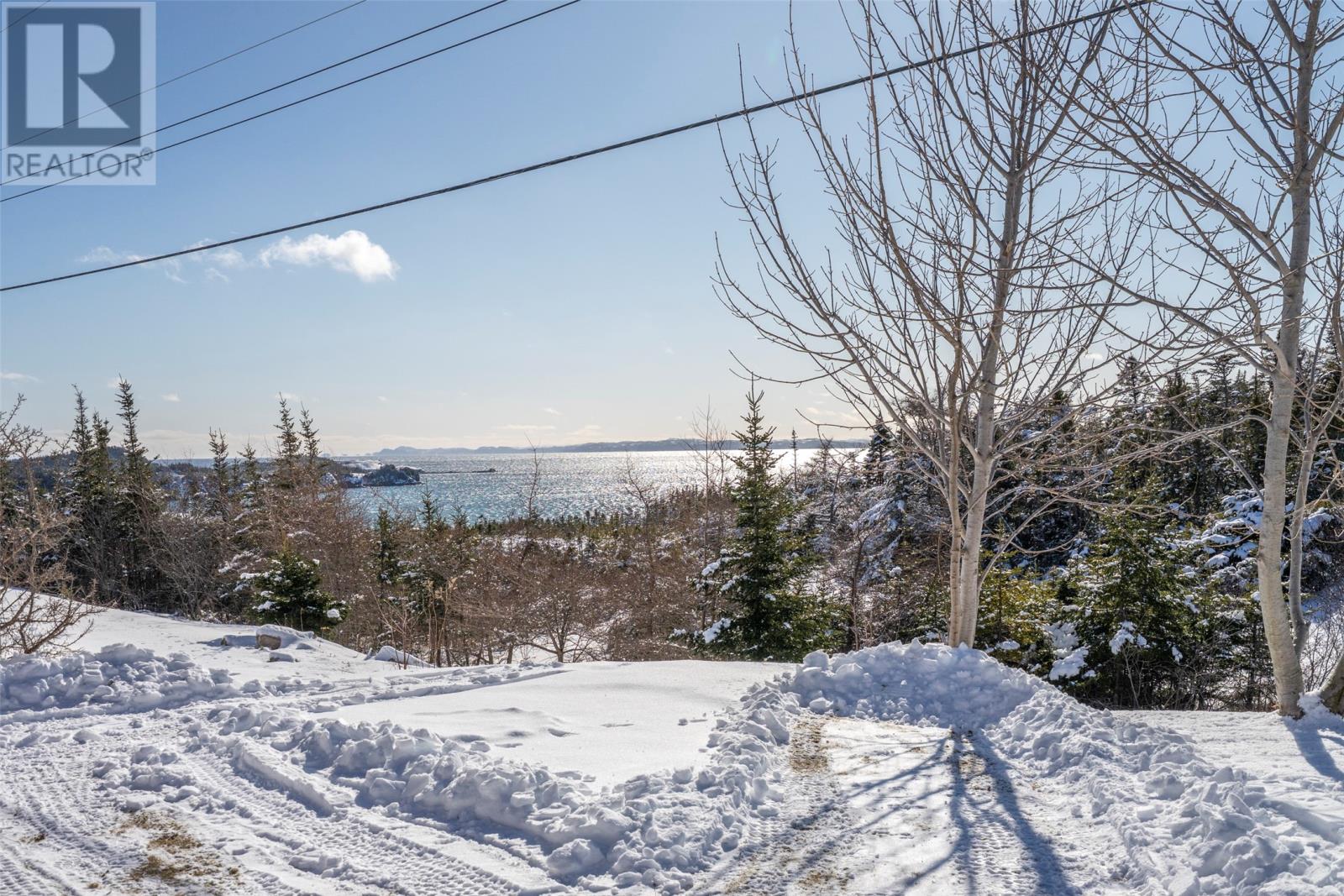 29 Haystack Avenue, Arnold's Cove, Newfoundland & Labrador  A0B 1N0 - Photo 16 - 1295020